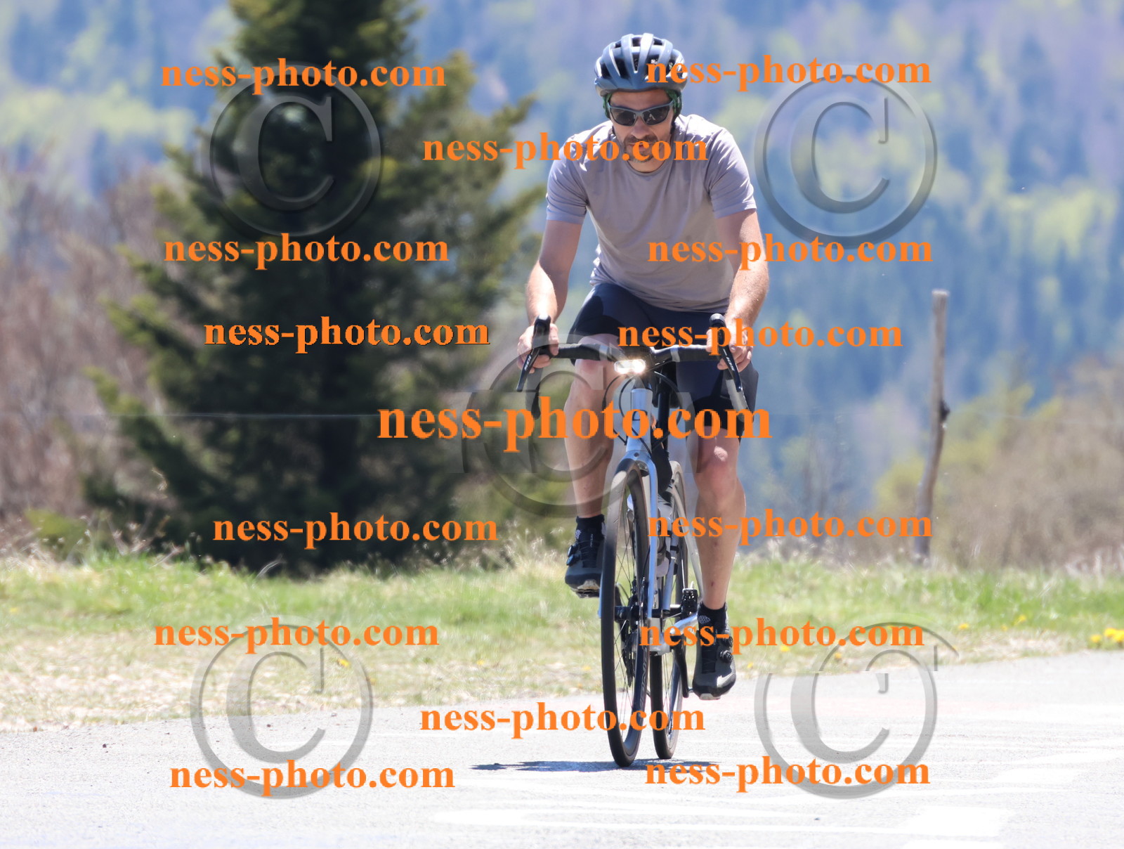 Col du Grand Colombier (563).JPG