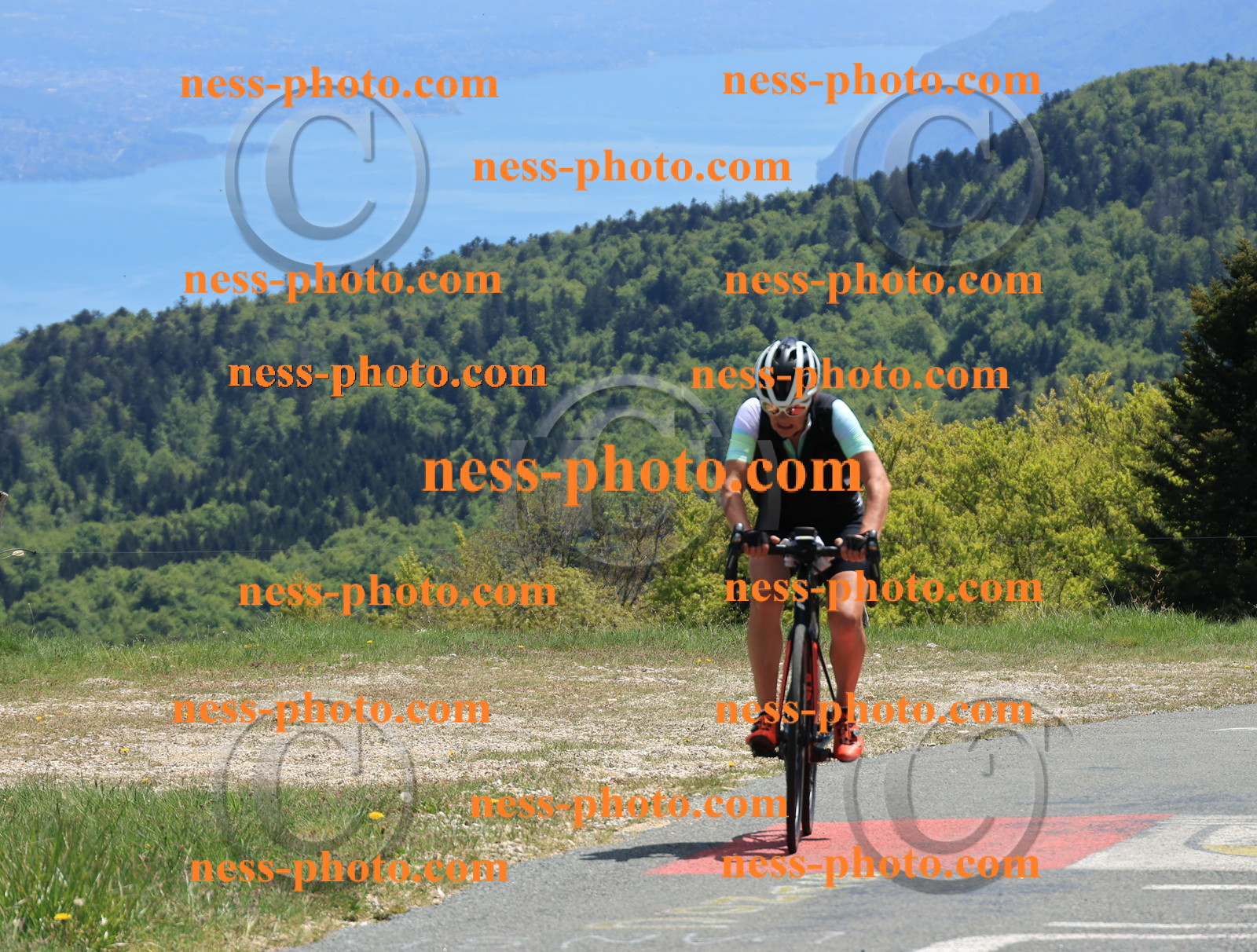 Col du Grand Colombier (511).JPG