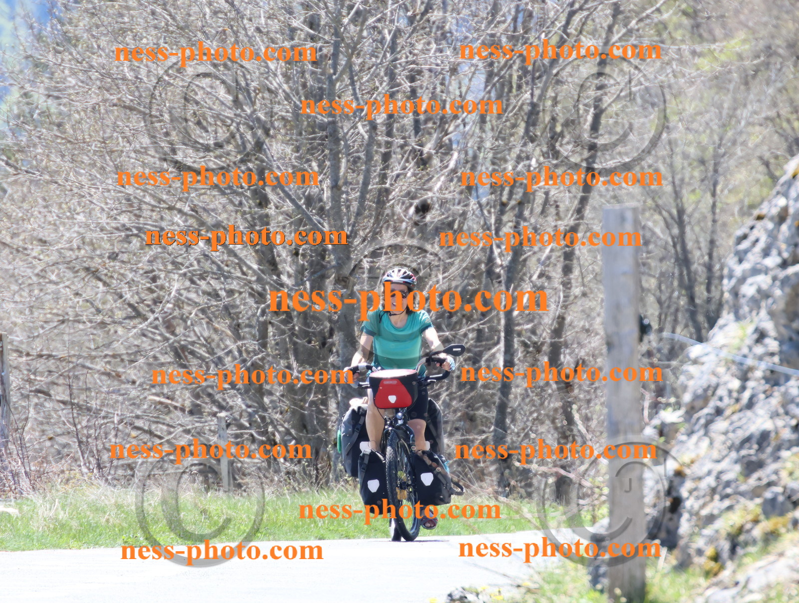 Col du Grand Colombier (433).JPG