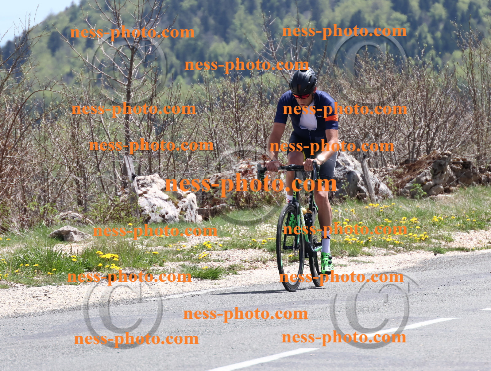 Col du Grand Colombier (811).JPG