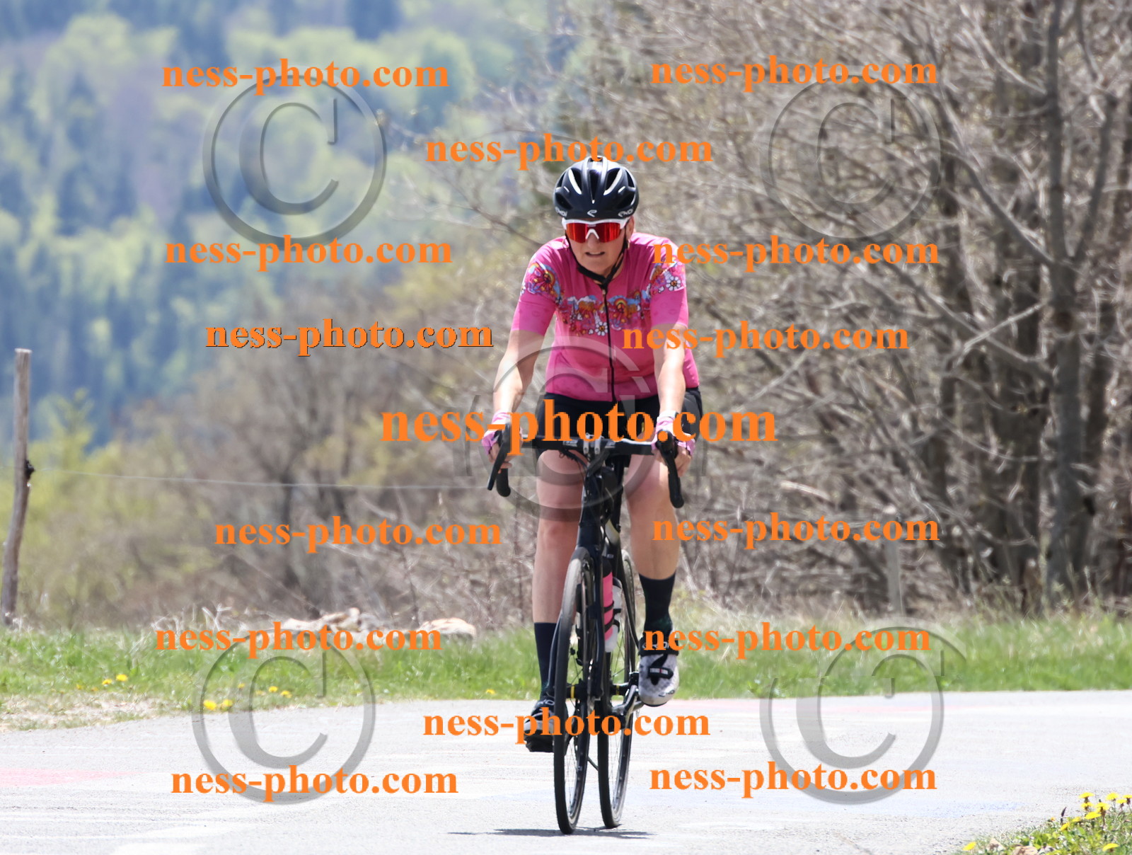 Col du Grand Colombier (628).JPG