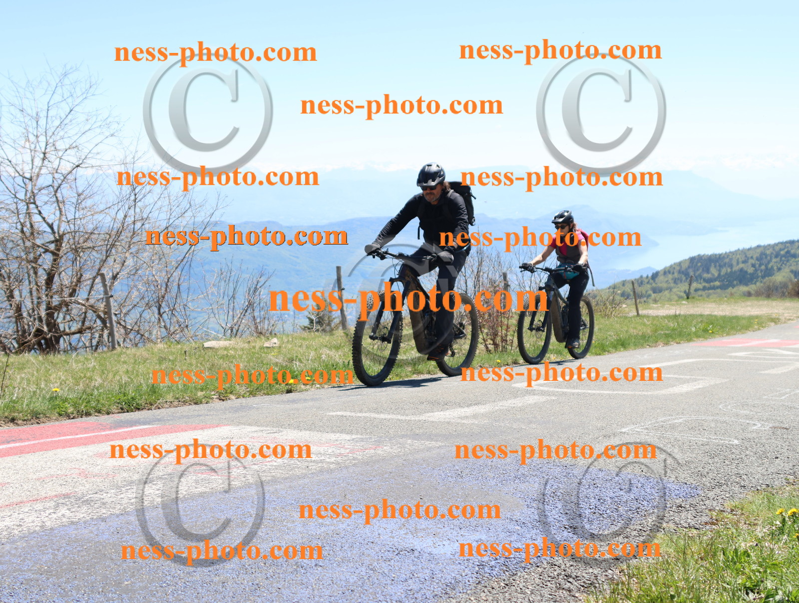 Col du Grand Colombier (524).JPG