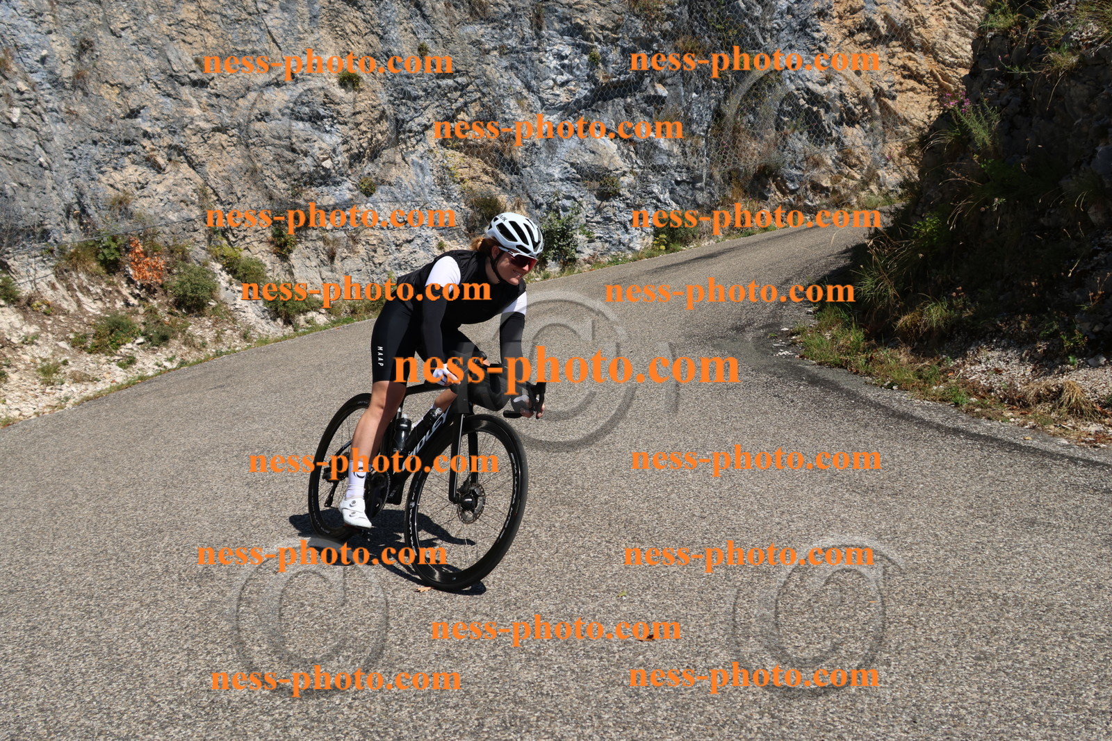 Col du Grand Colombier (260).JPG