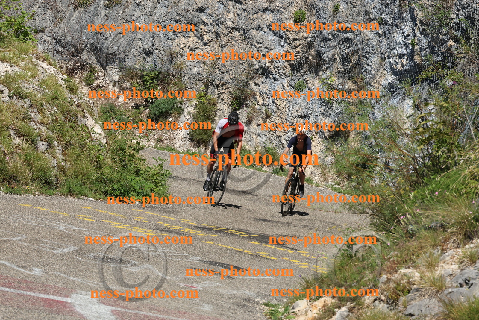 Col du Grand Colombier (398).JPG