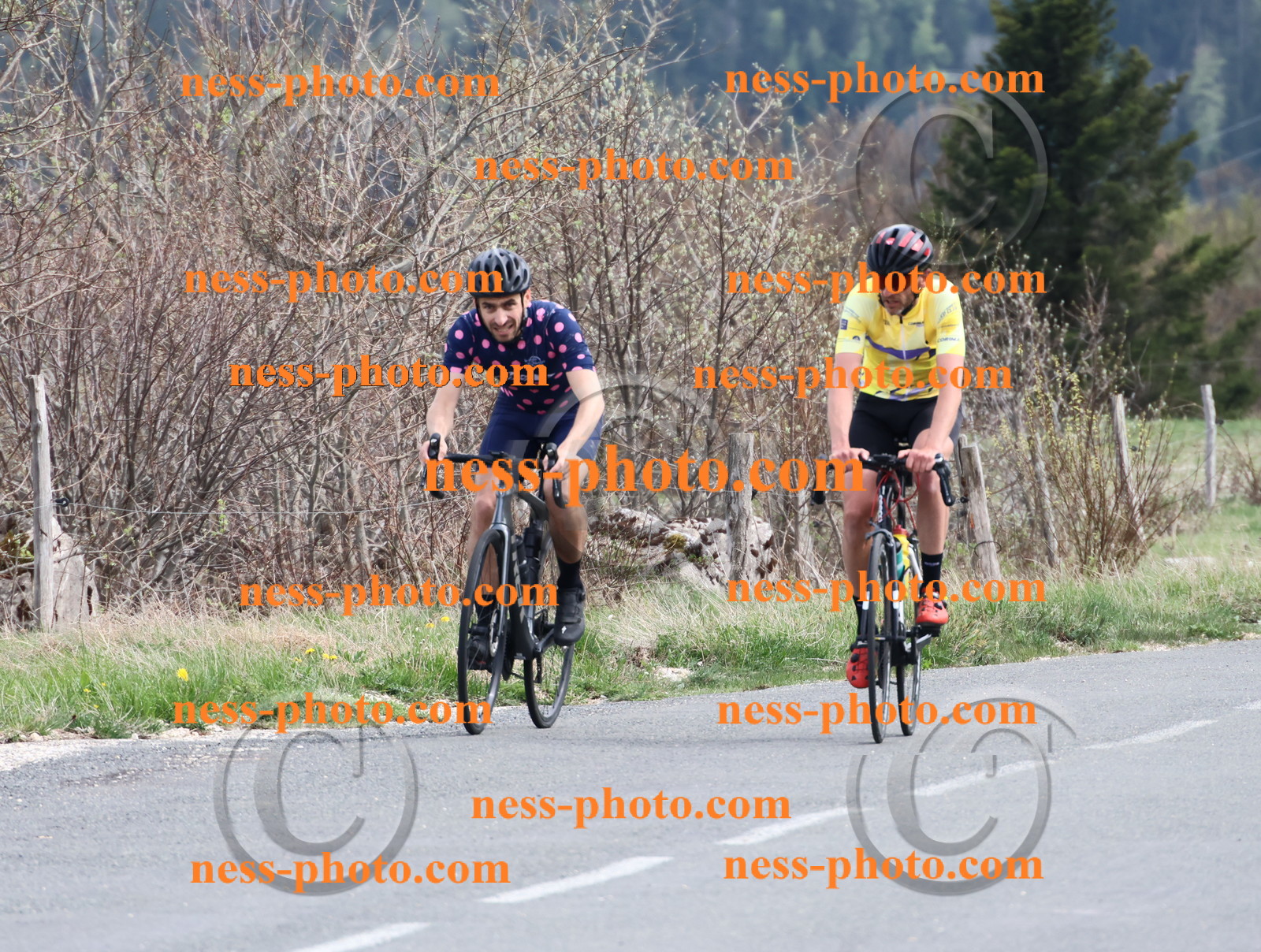 Col du Grand Colombier (1147).JPG