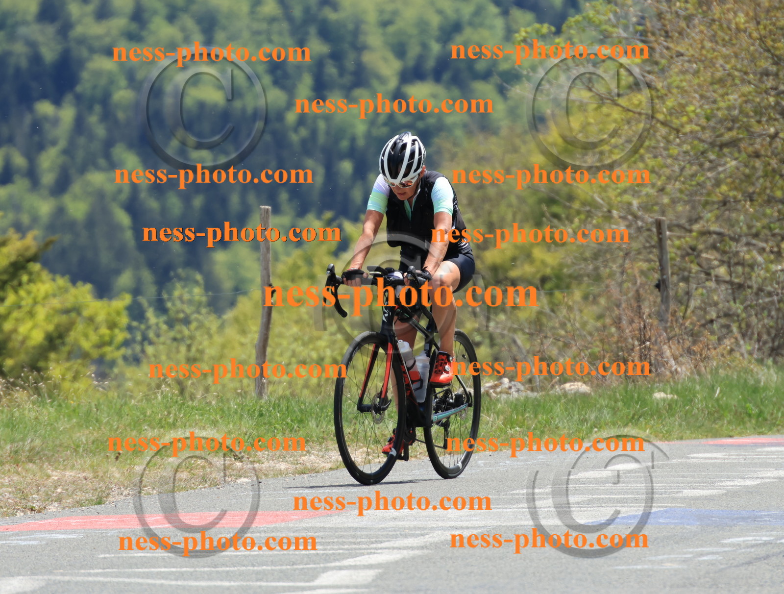 Col du Grand Colombier (508).JPG