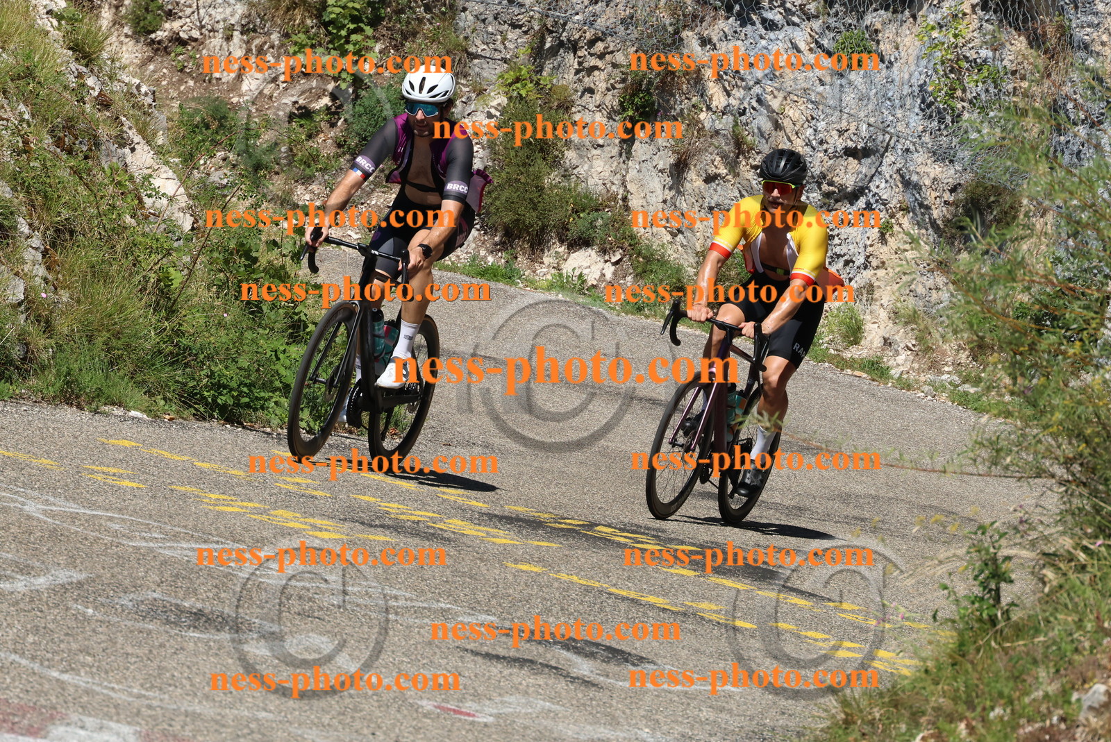 Col du Grand Colombier (565).JPG