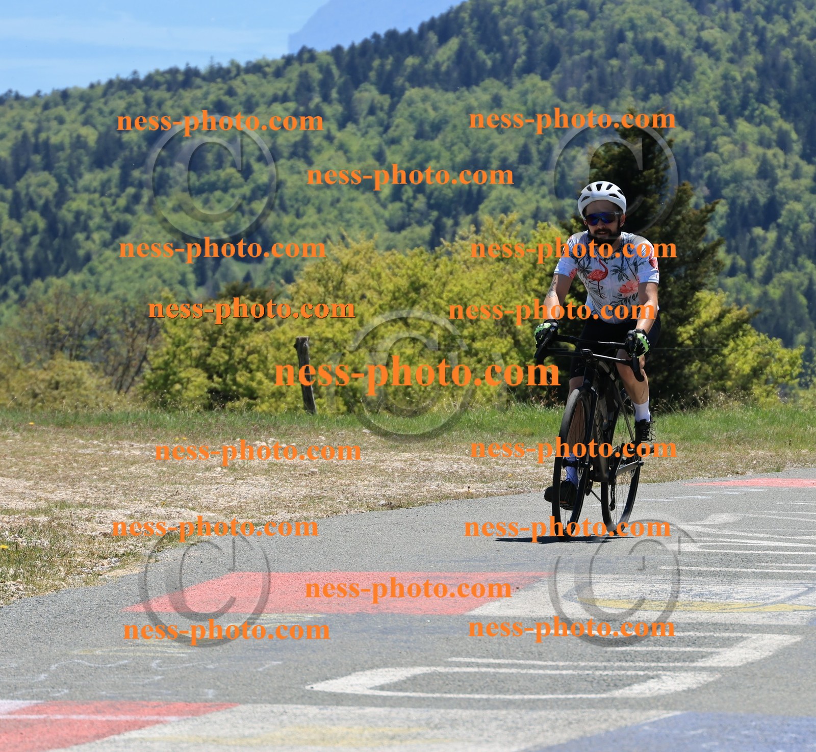 Col du Grand Colombier (416).JPG
