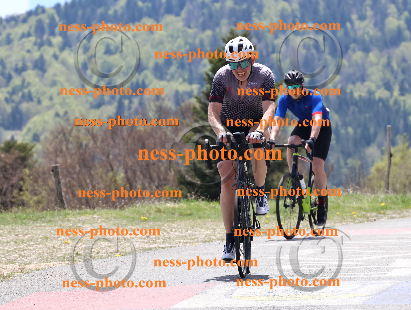 Col du Grand Colombier (524).JPG