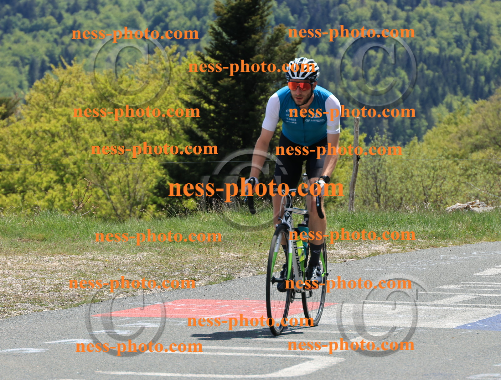 Col du Grand Colombier (493).JPG