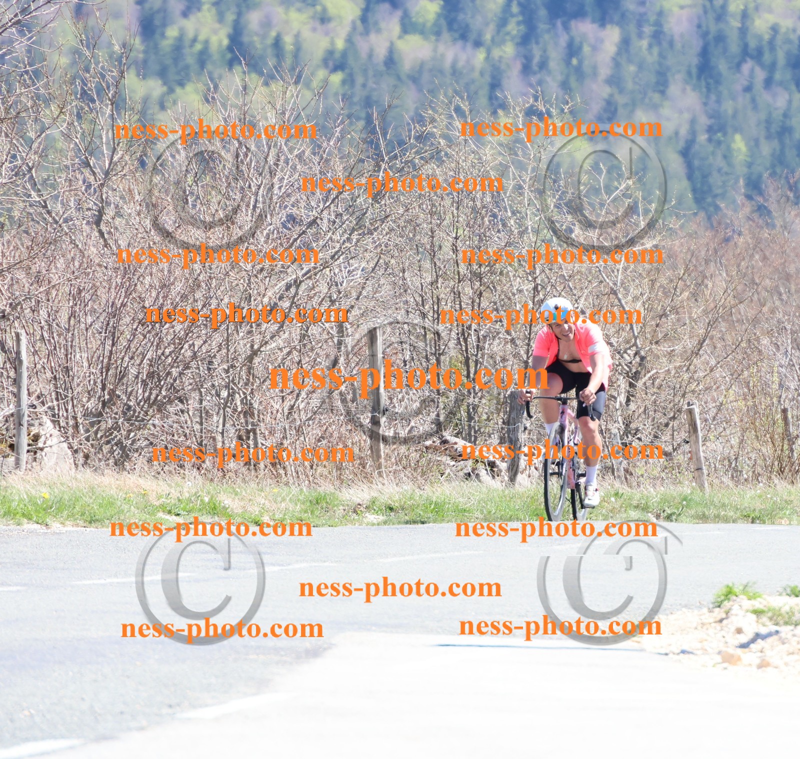 Col du Grand Colombier (949).JPG