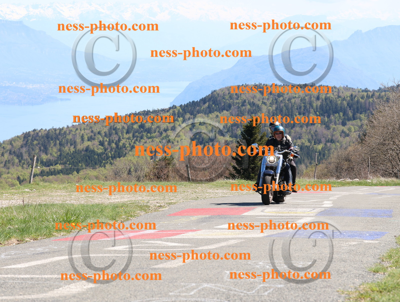 Col du Grand Colombier (289).JPG