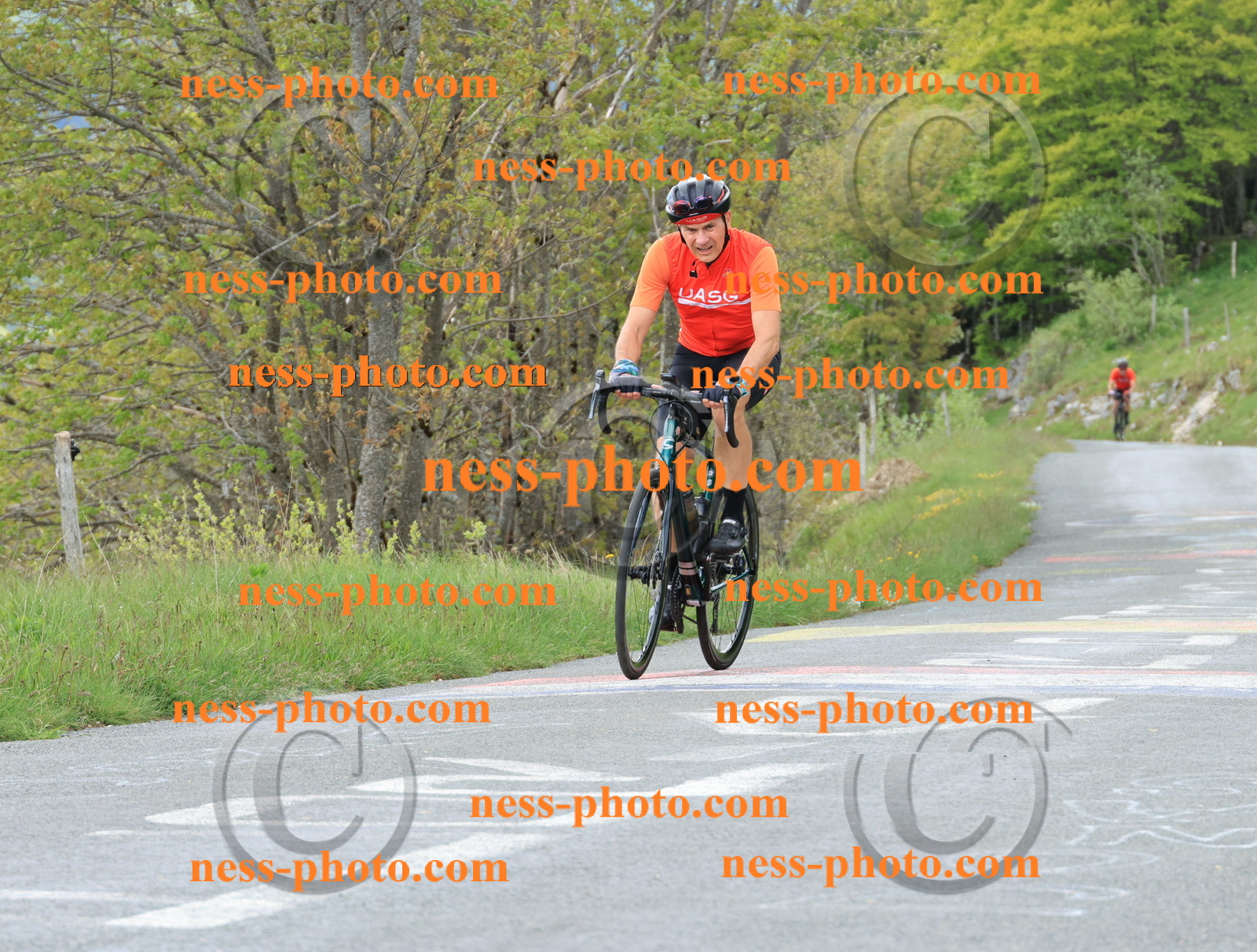 Col du Grand Colombier (610).JPG