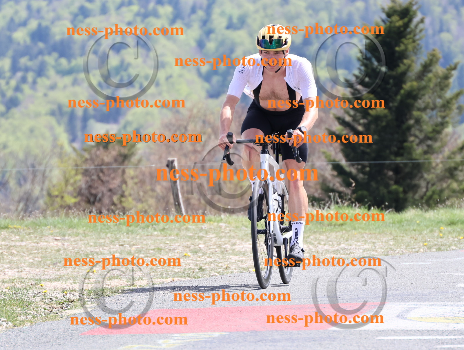 Col du Grand Colombier (950).JPG