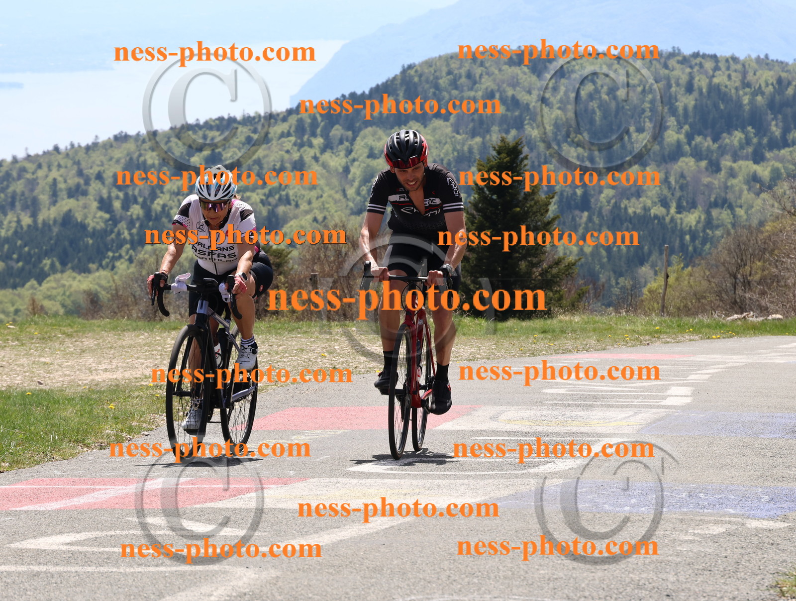 Col du Grand Colombier (466).JPG