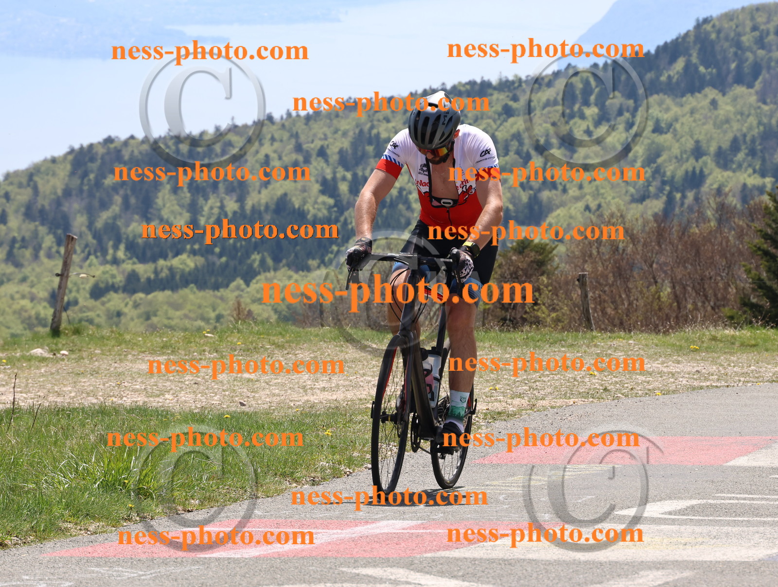Col du Grand Colombier (539).JPG