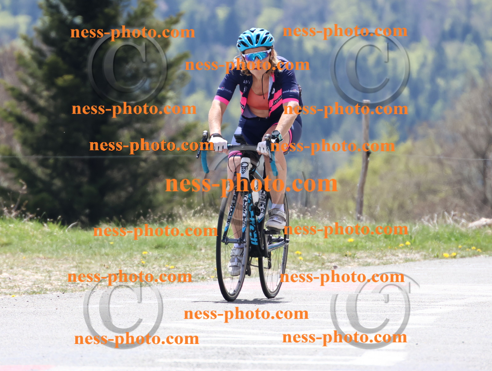 Col du Grand Colombier (583).JPG