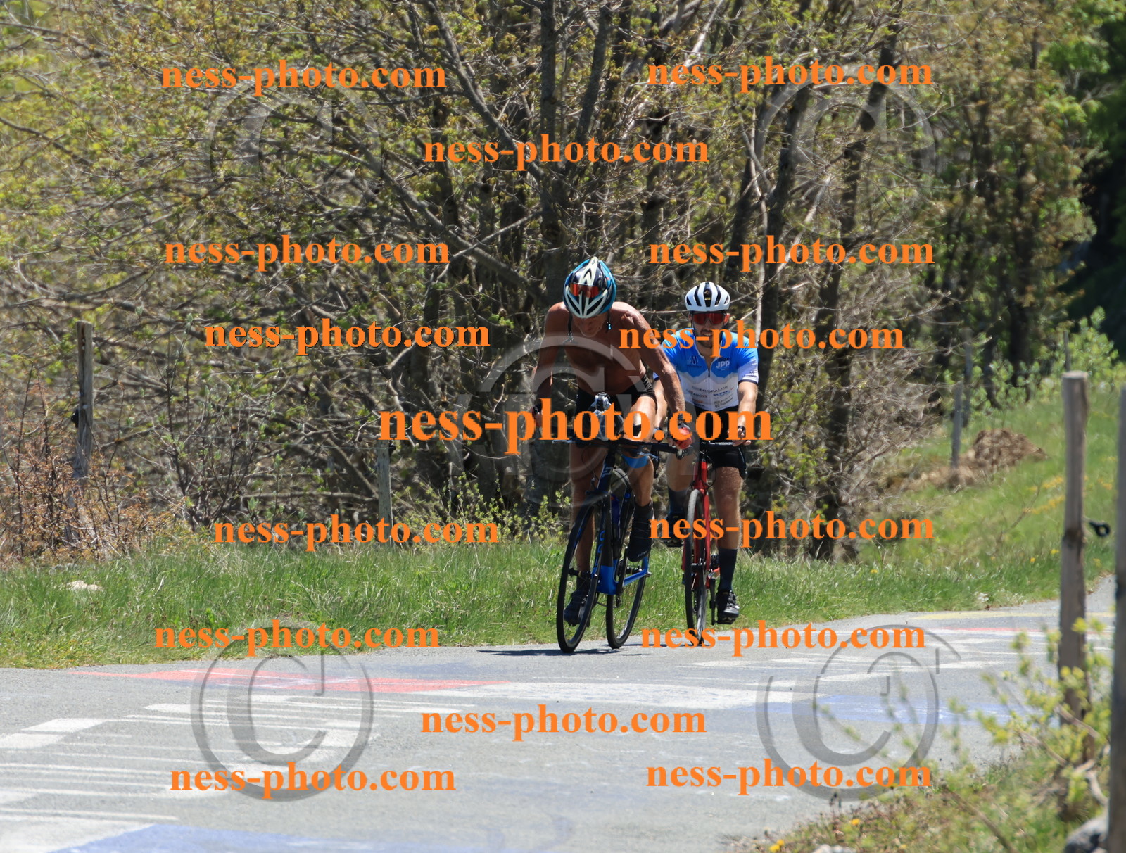 Col du Grand Colombier (456).JPG