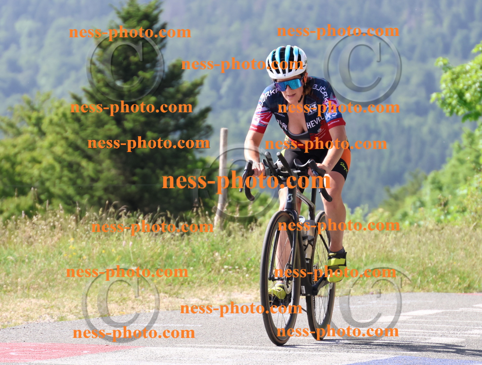 Col du grand Colombier (357).JPG