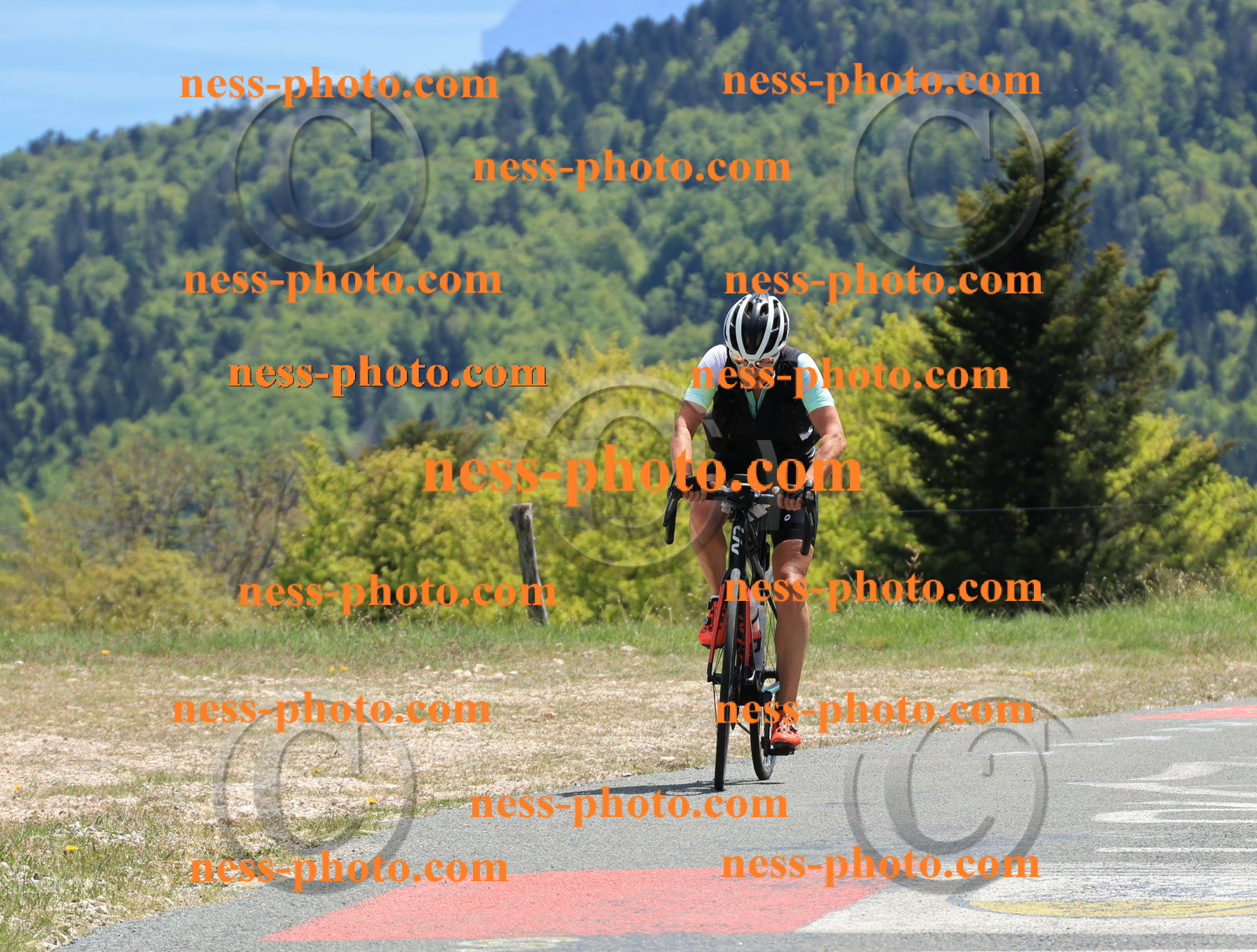 Col du Grand Colombier (510).JPG