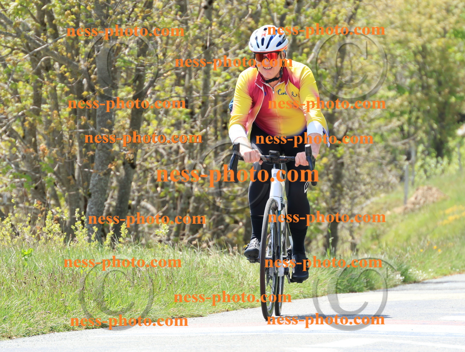 Col du Grand Colombier (218).JPG