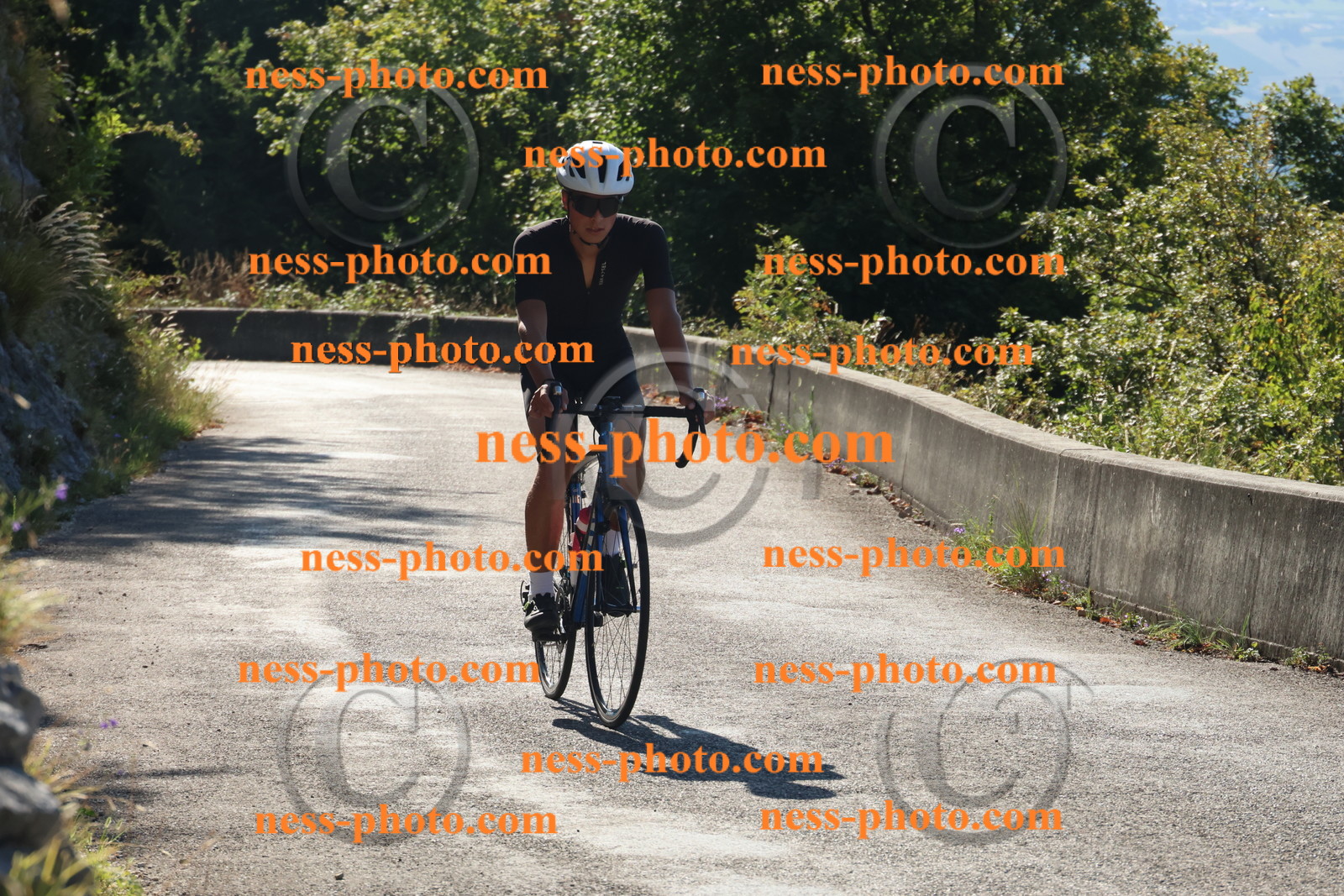 Col du Grand Colombier (1).JPG
