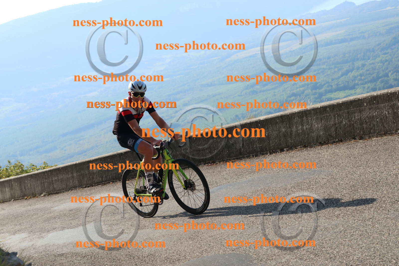 Col du Grand Colombier (787).JPG