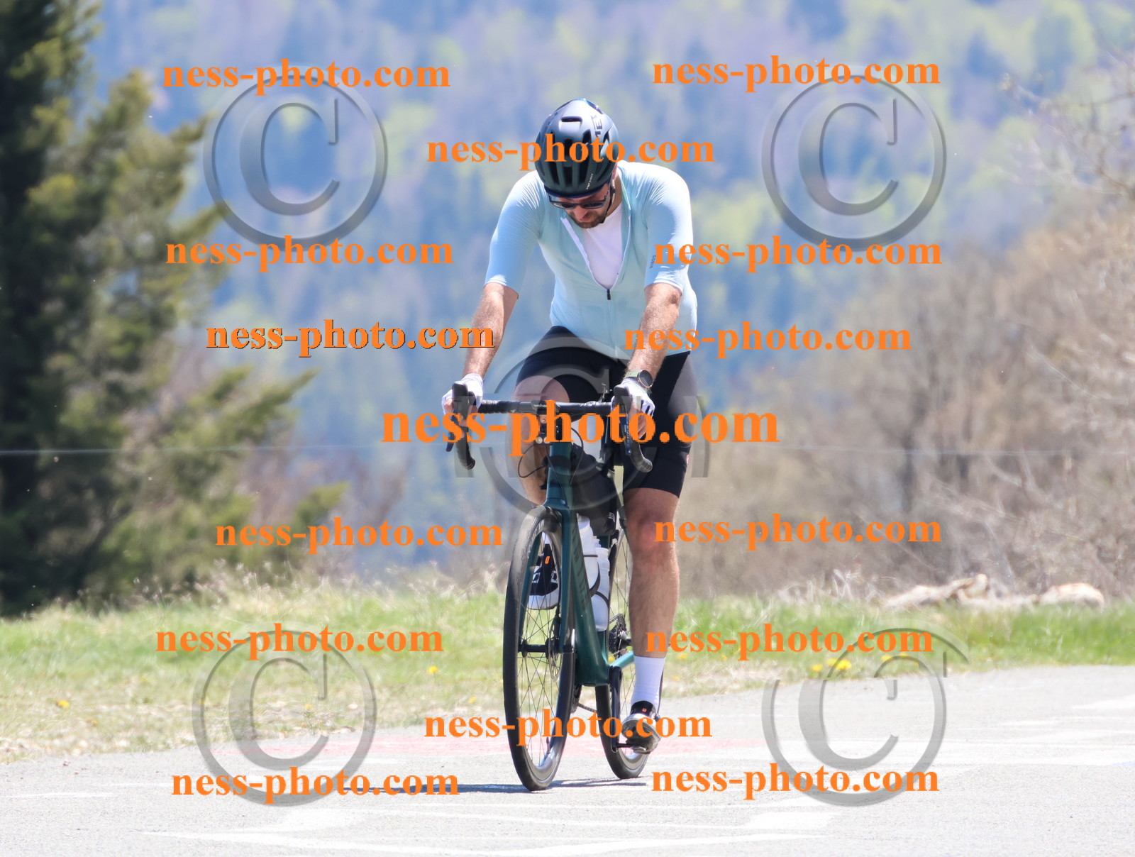 Col du Grand Colombier (776).JPG