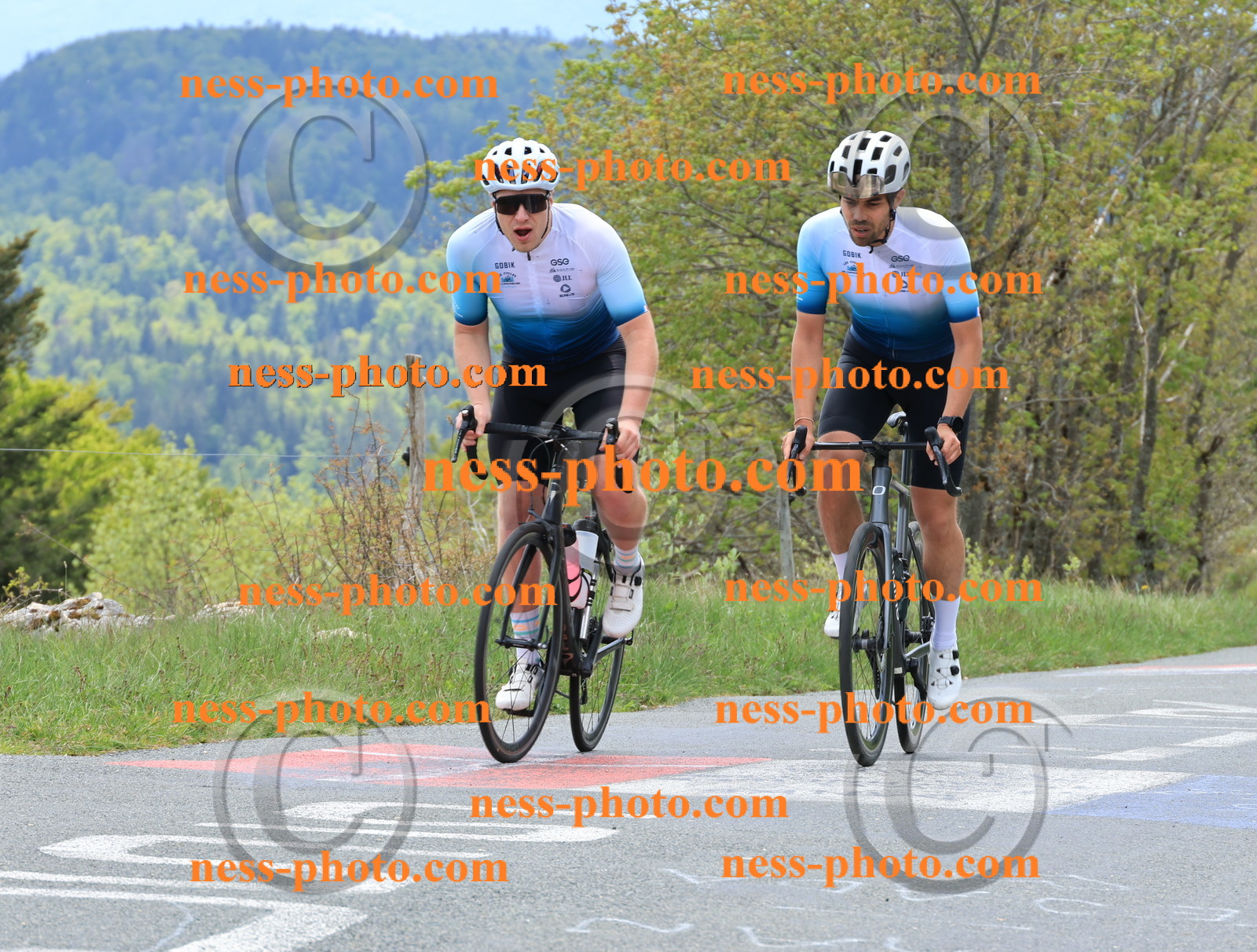 Col du Grand Colombier (471).JPG