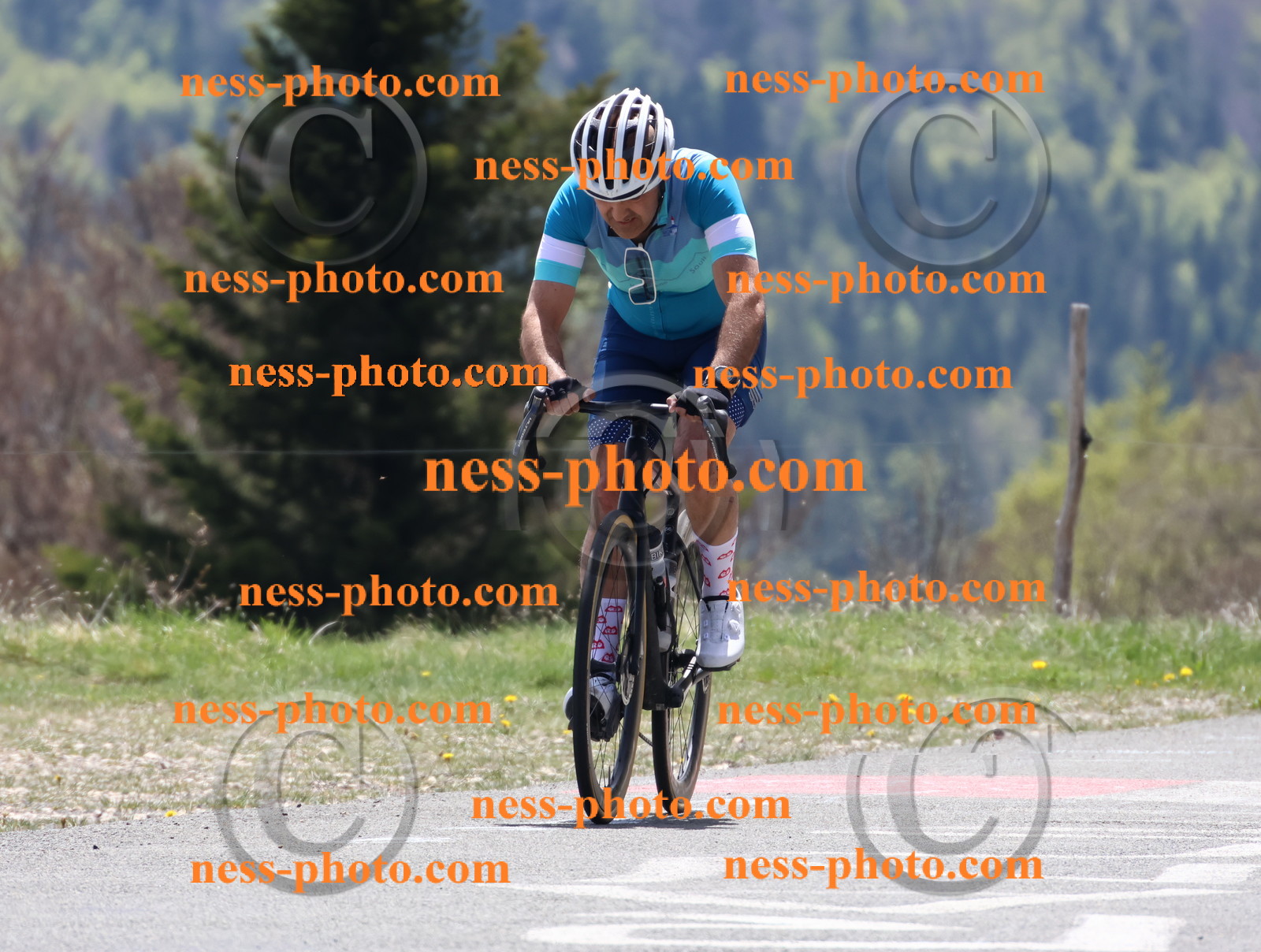 Col du Grand Colombier (560).JPG