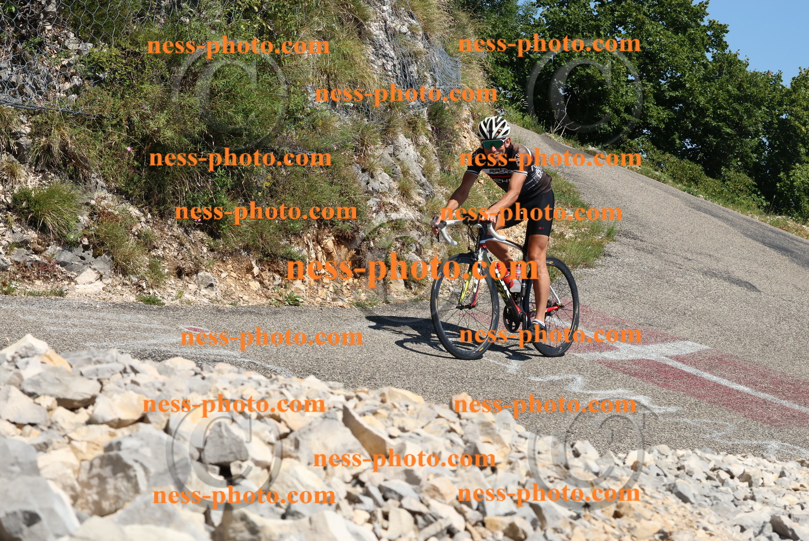 Col du Grand Colombier (581).JPG