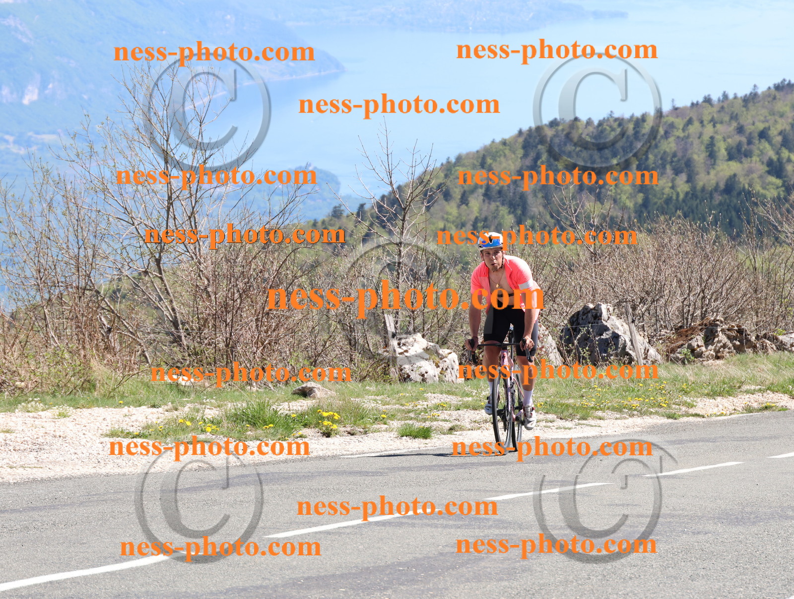 Col du Grand Colombier (952).JPG
