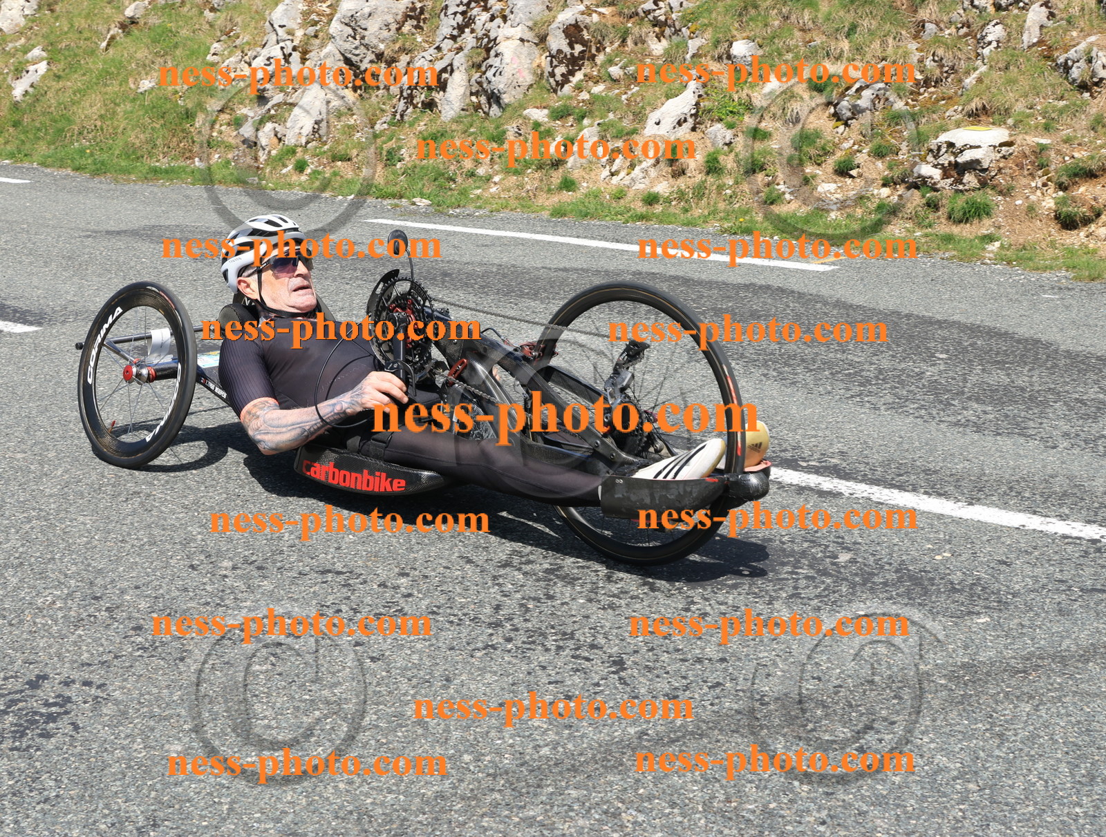 Col du Grand Colombier (1503).JPG