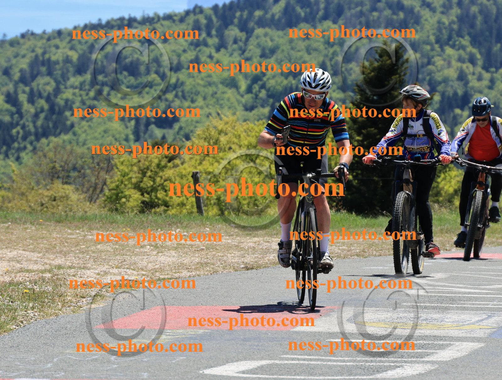 Col du Grand Colombier (429).JPG