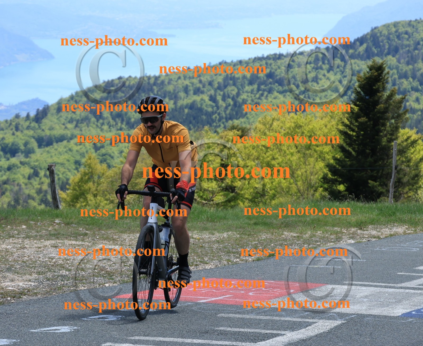 Col du Grand Colombier (489).JPG