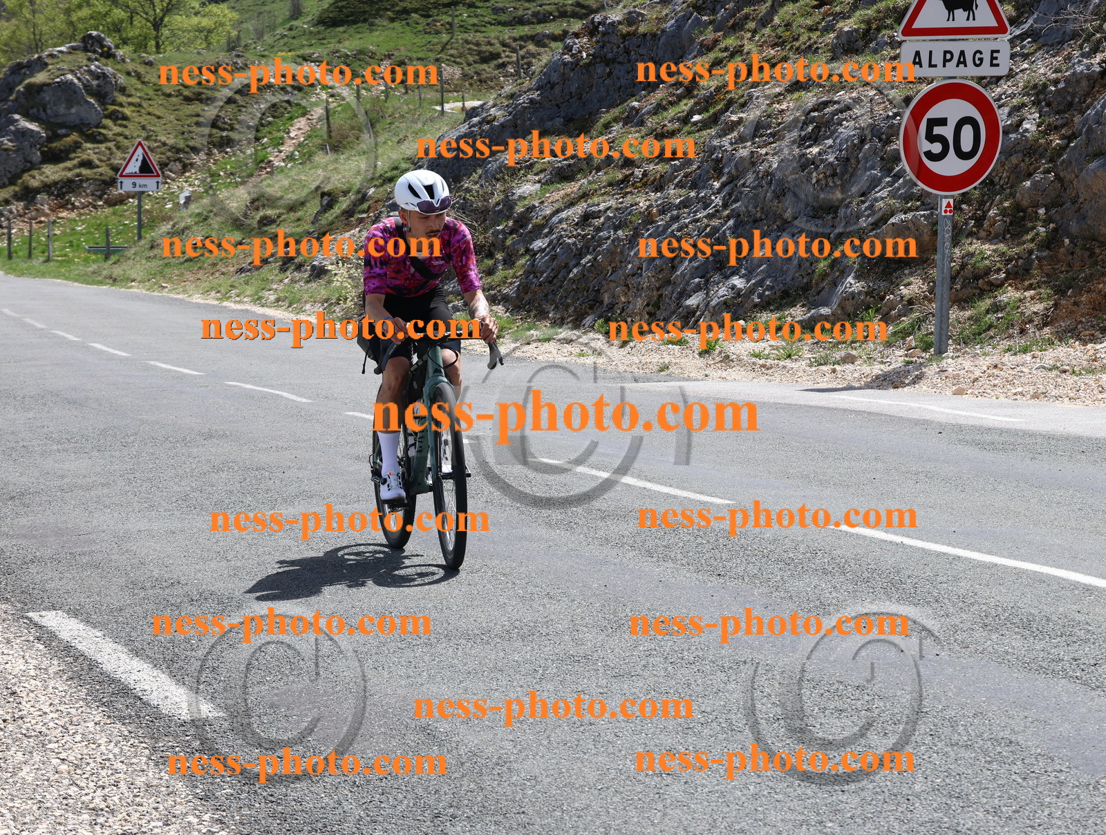 Col du Grand Colombier (929).JPG