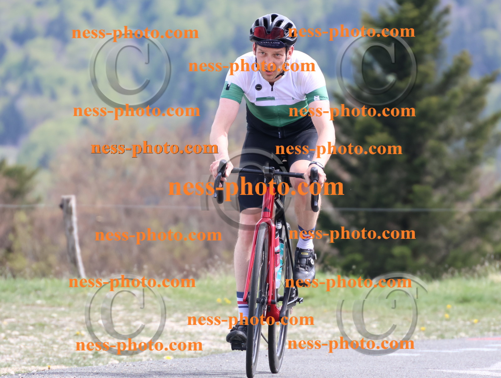 Col du Grand Colombier (1125).JPG