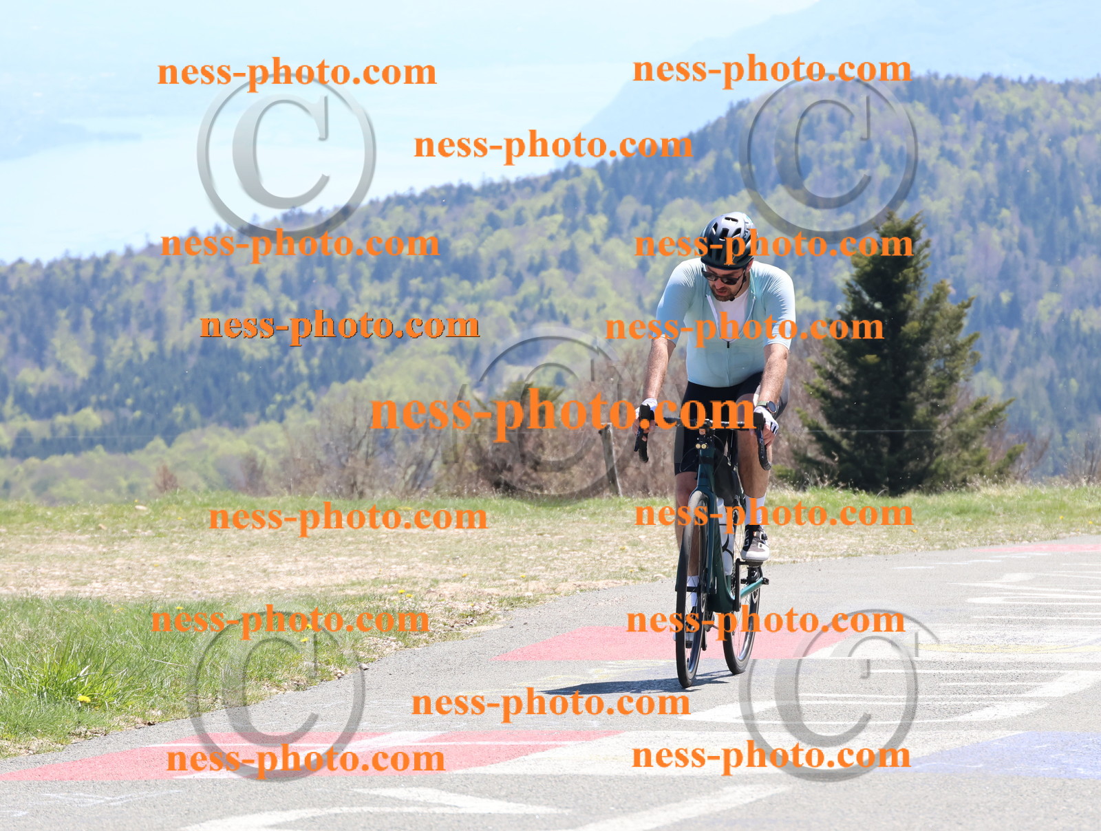 Col du Grand Colombier (779).JPG