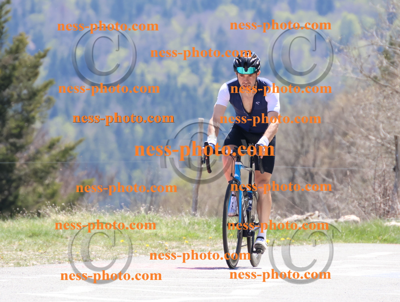 Col du Grand Colombier (766).JPG