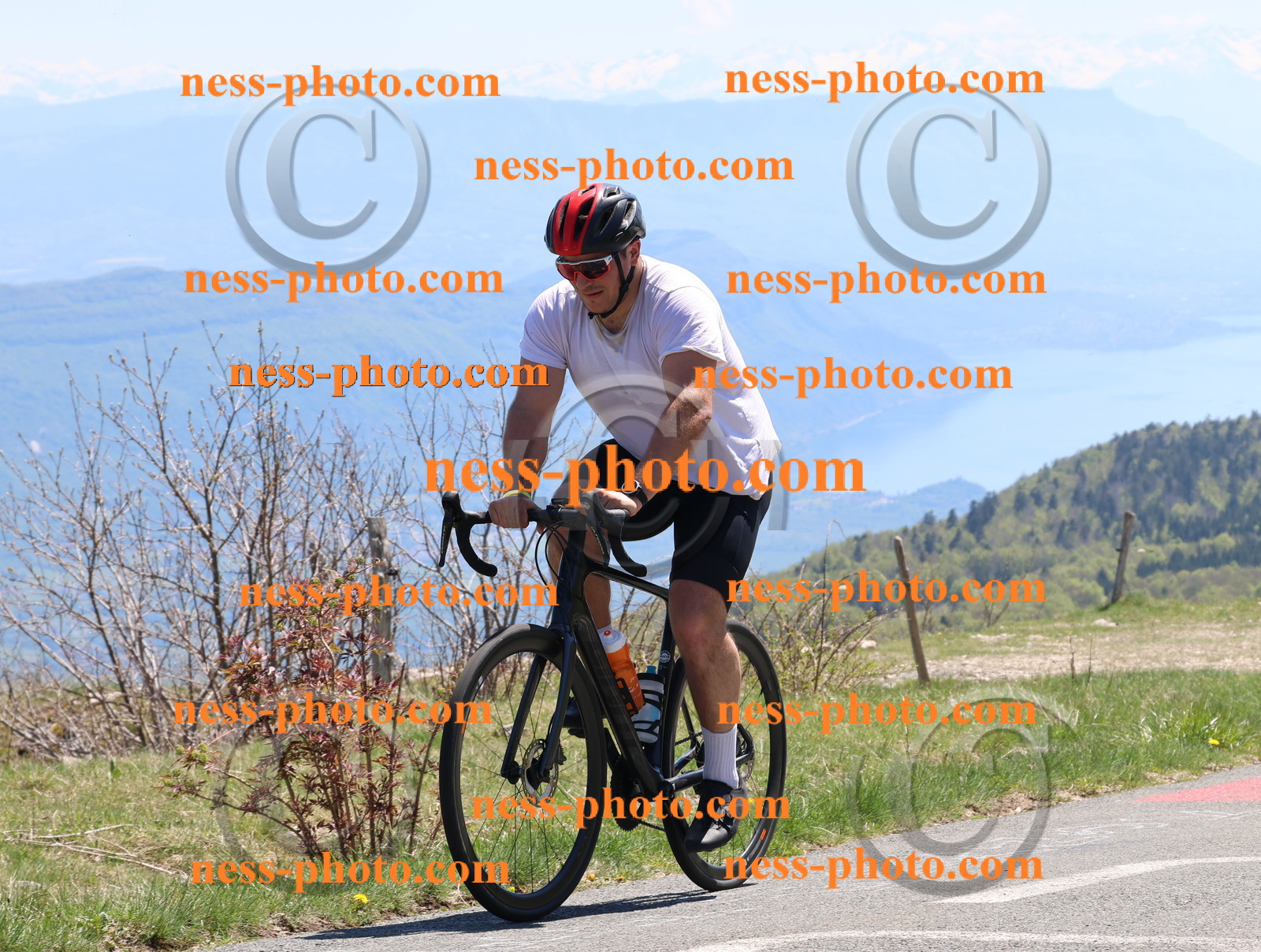 Col du Grand Colombier (752).JPG