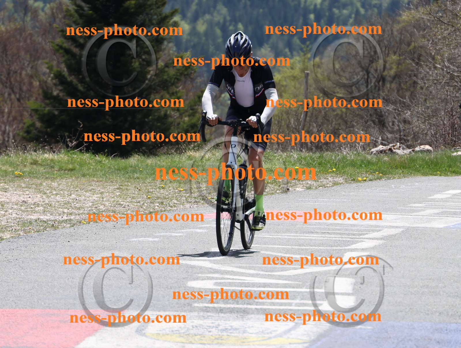 Col du Grand Colombier (653).JPG