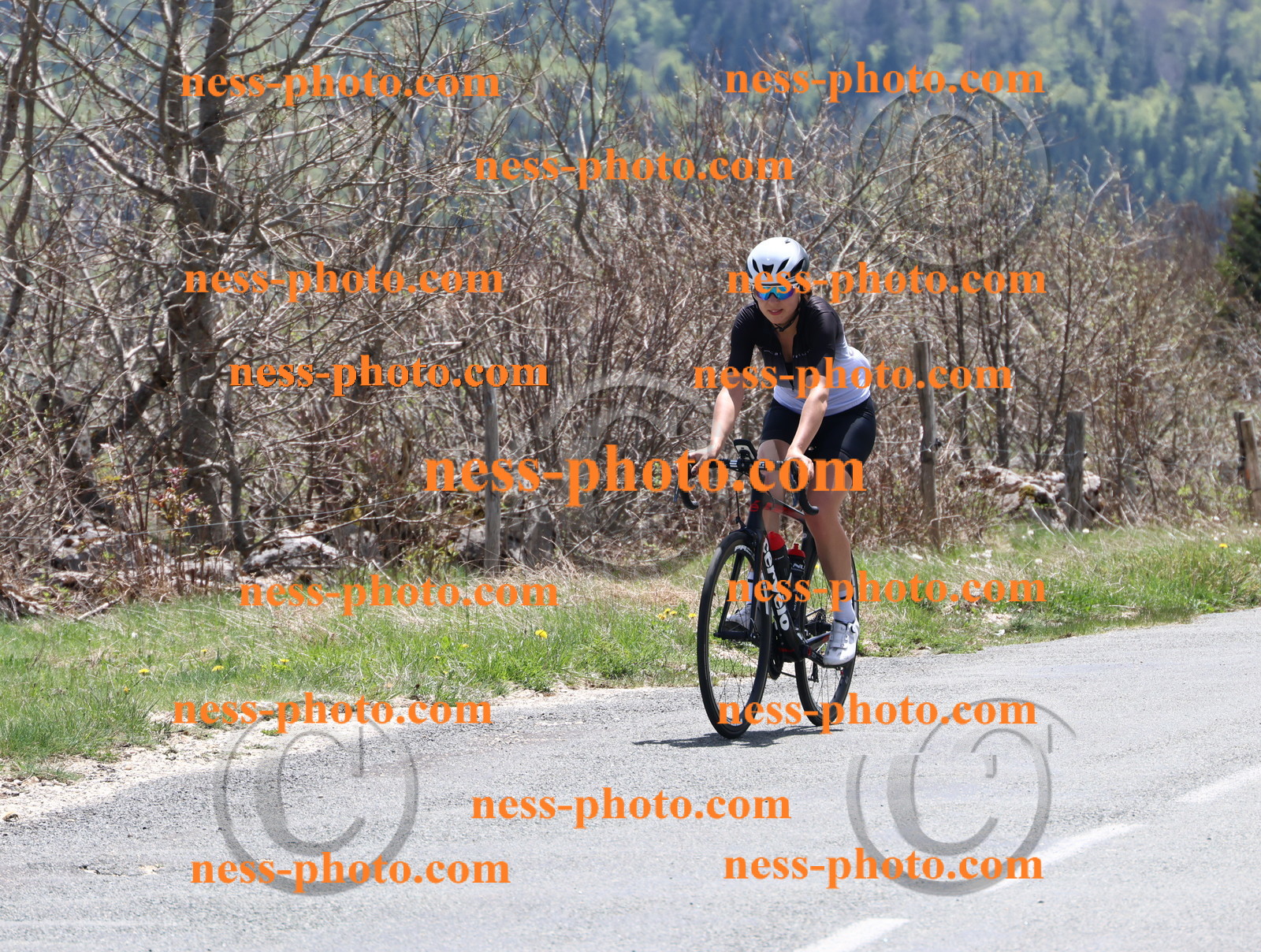 Col du Grand Colombier (678).JPG