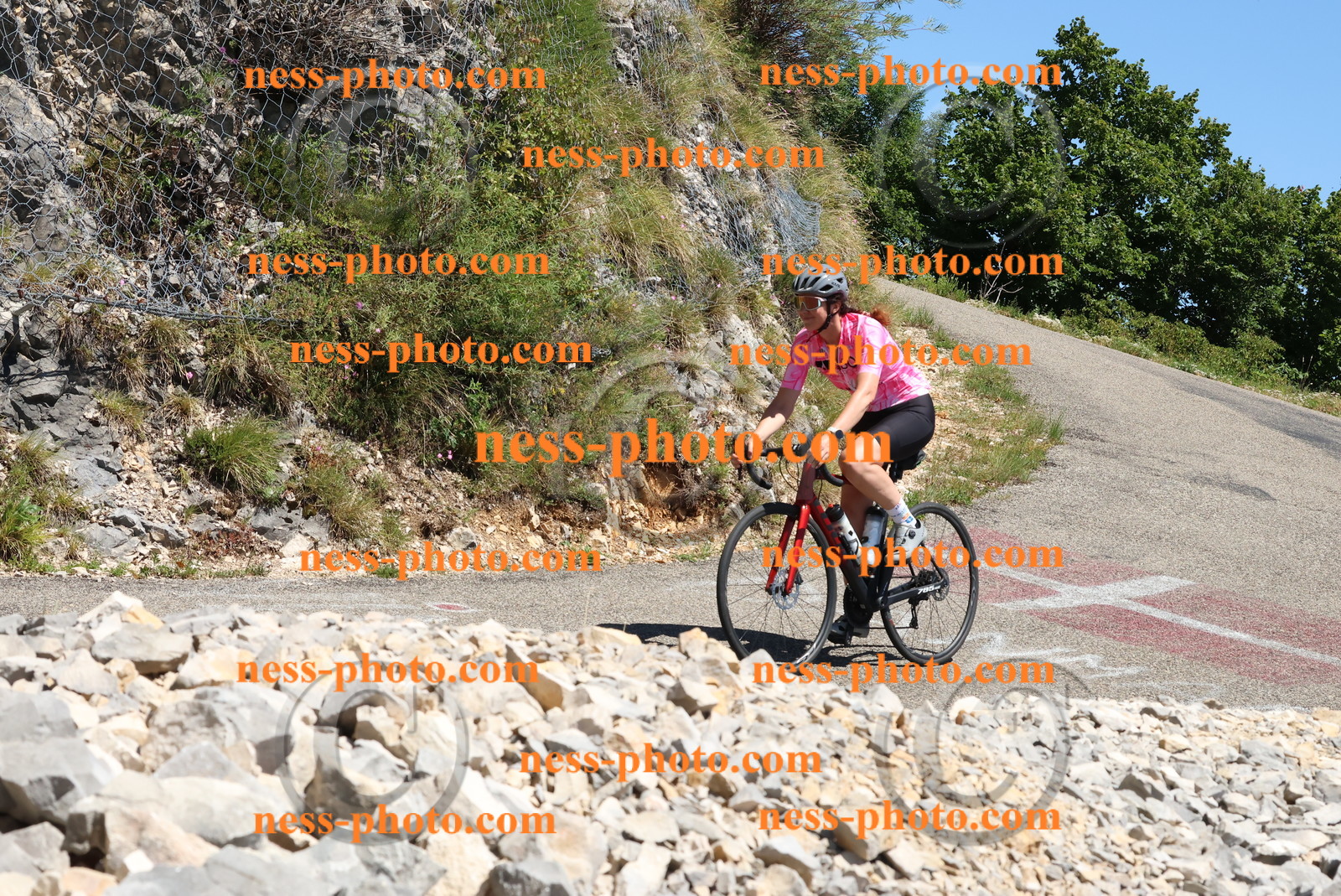 Col du Grand Colombier (680).JPG