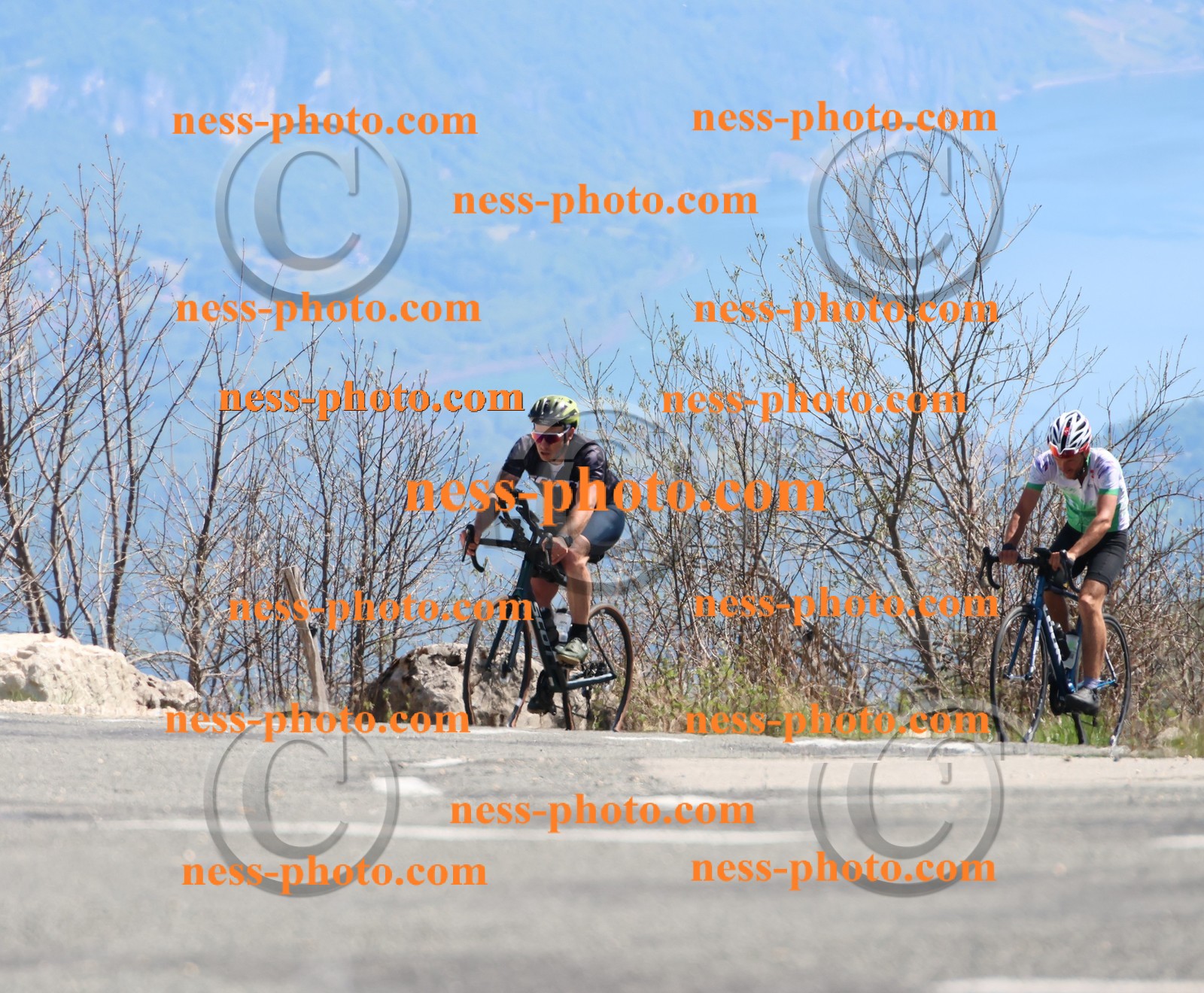 Col du Grand Colombier (883).JPG
