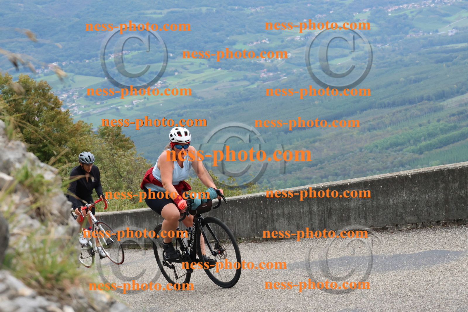 Col du Grand Colombier (341).JPG