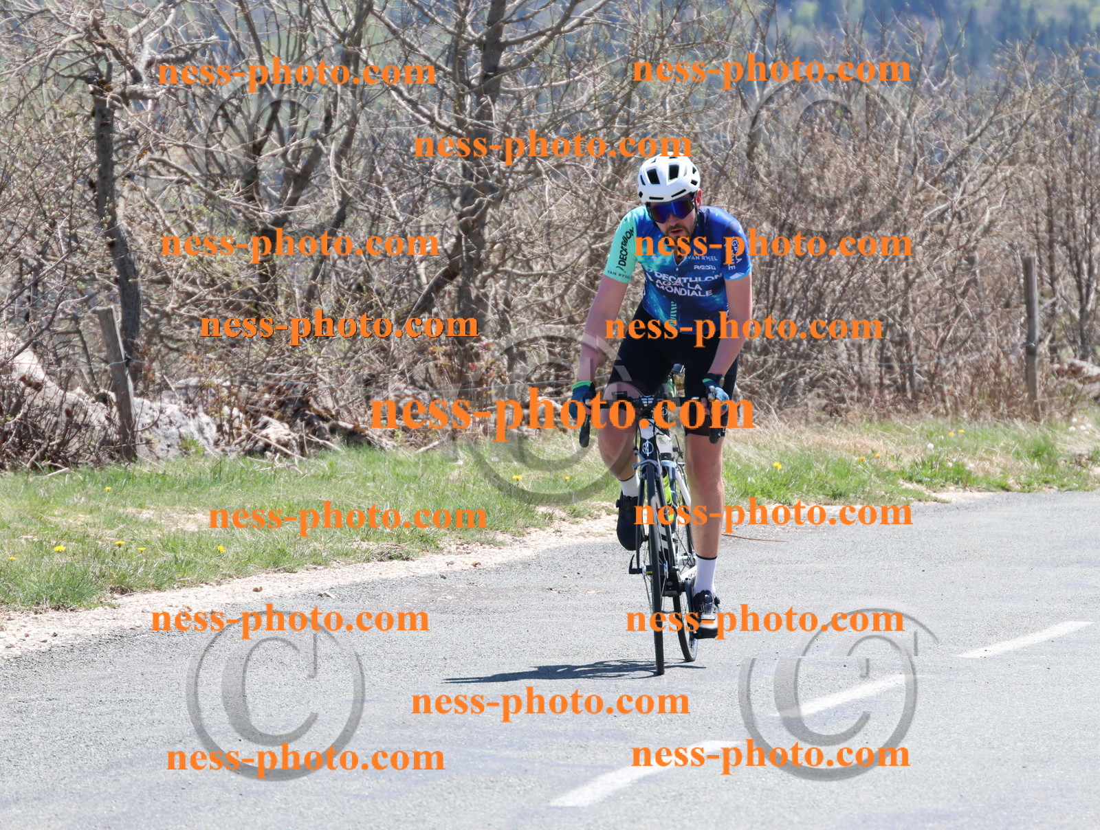 Col du Grand Colombier (826).JPG