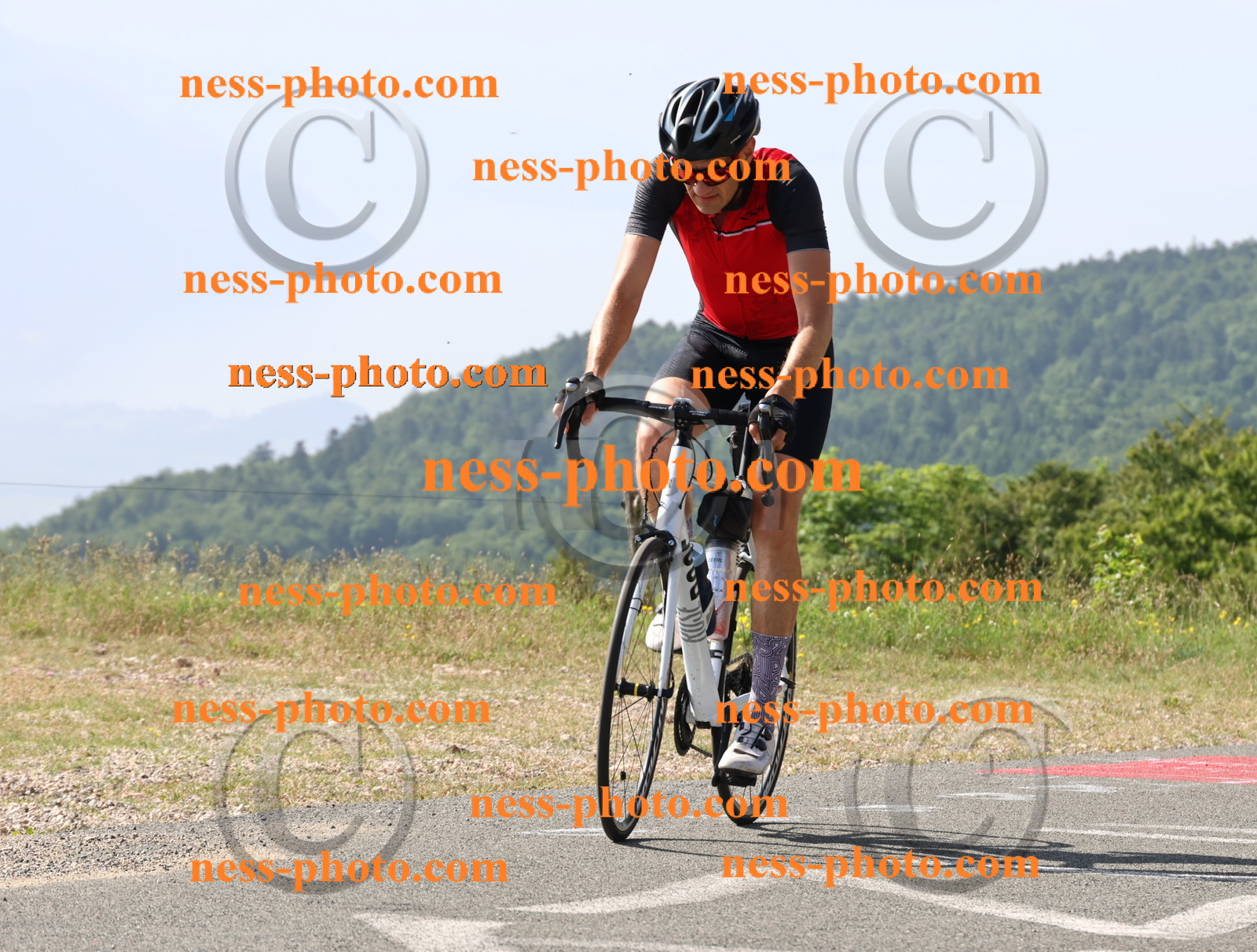 Col du grand Colombier (277).JPG