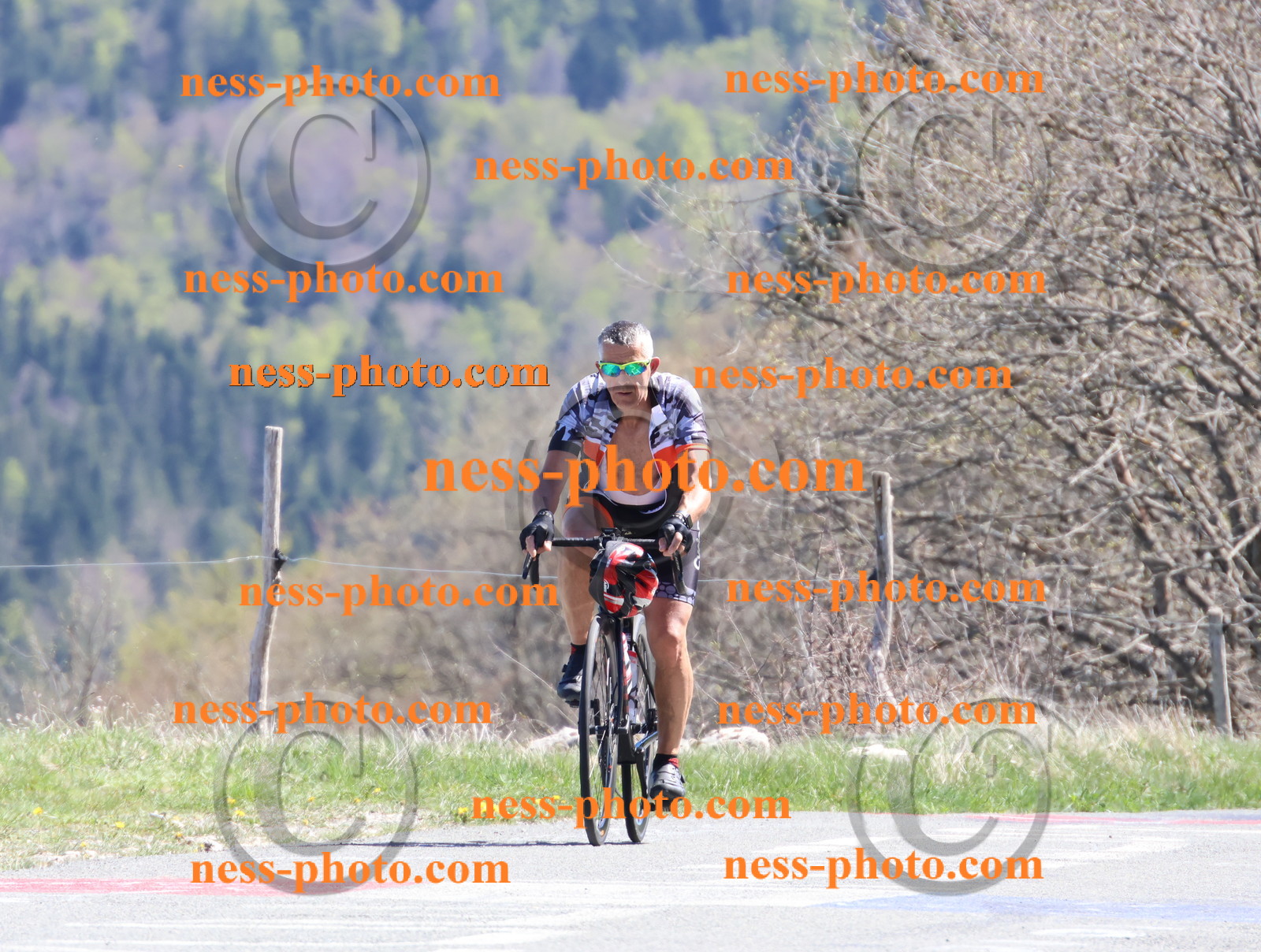 Col du Grand Colombier (1000).JPG