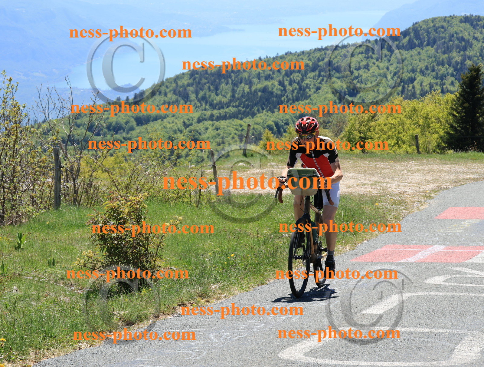 Col du Grand Colombier (332).JPG