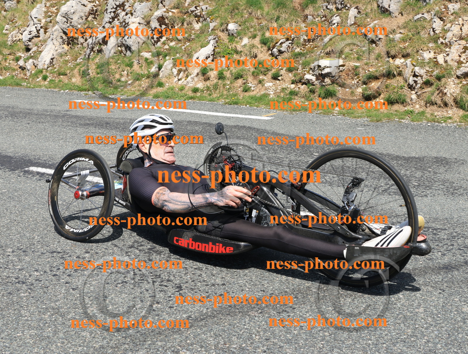 Col du Grand Colombier (1504).JPG